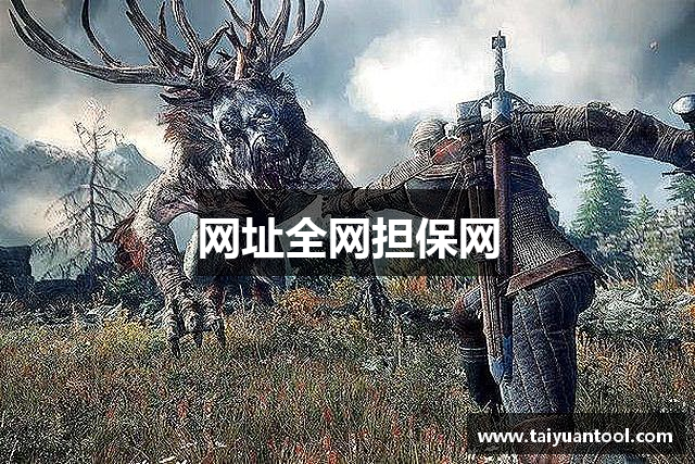 网址全网担保网